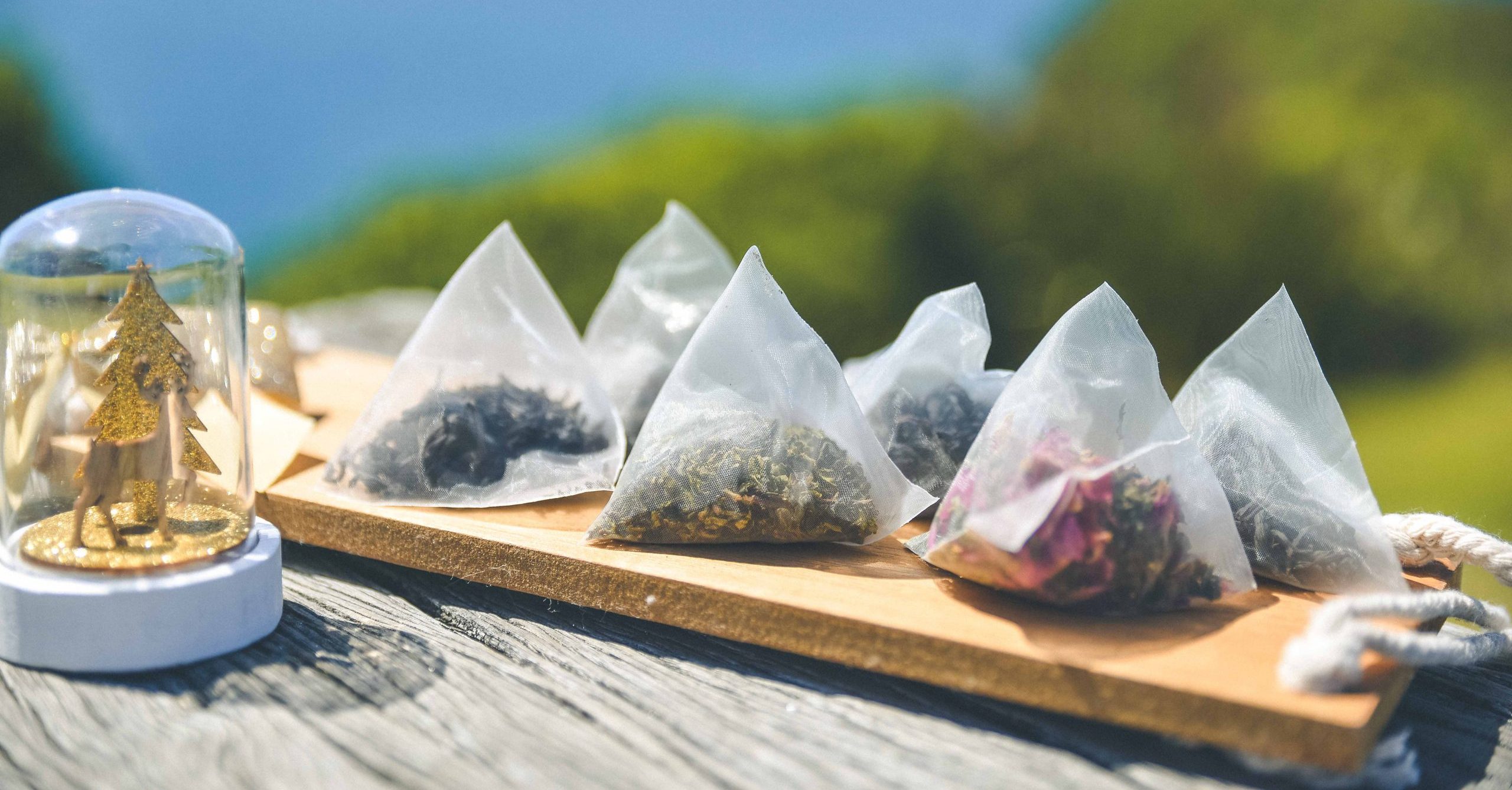 Teabag Sampler